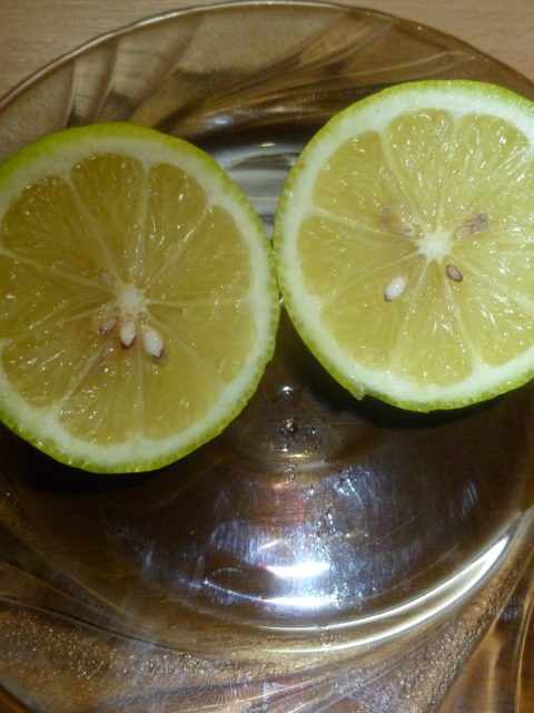 P1070218