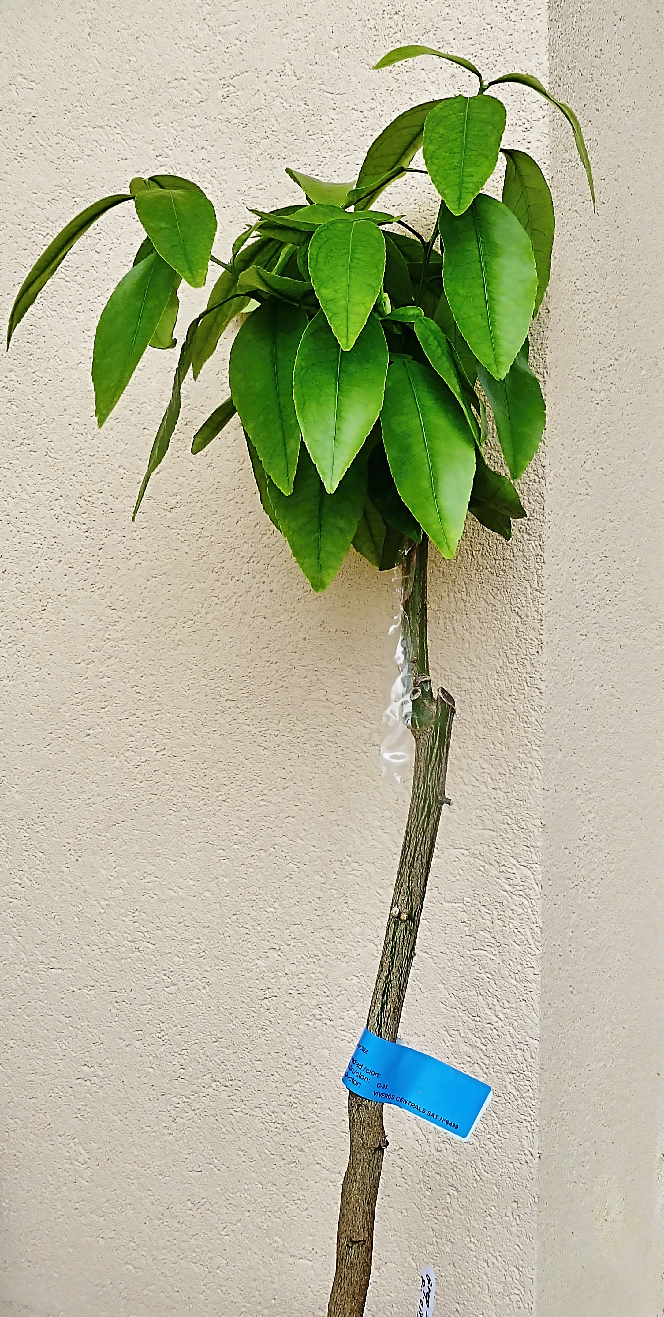 P1070549